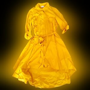 Vibrant Yellow Belted Dress